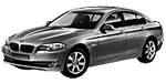 BMW F10 U208U Fault Code